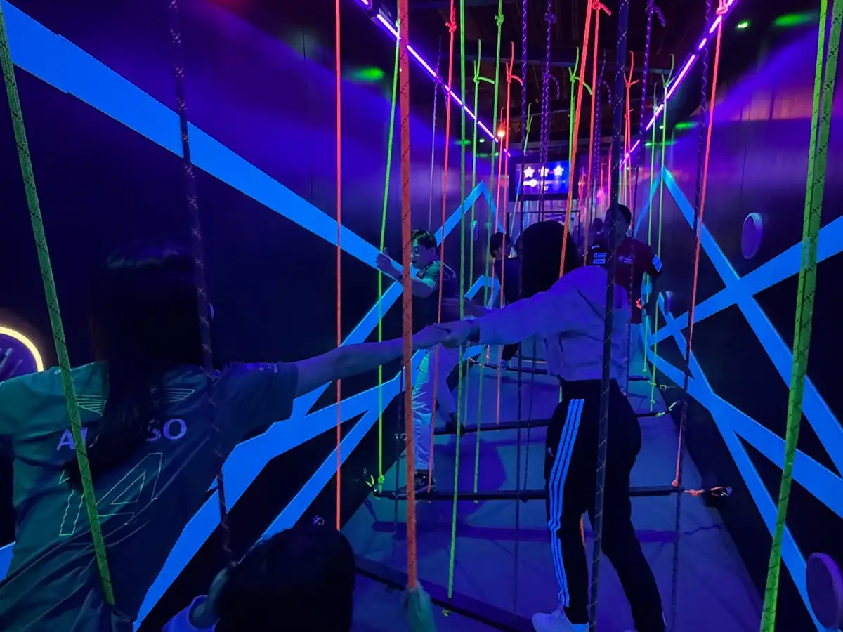Interactive Vertical Rope Maze